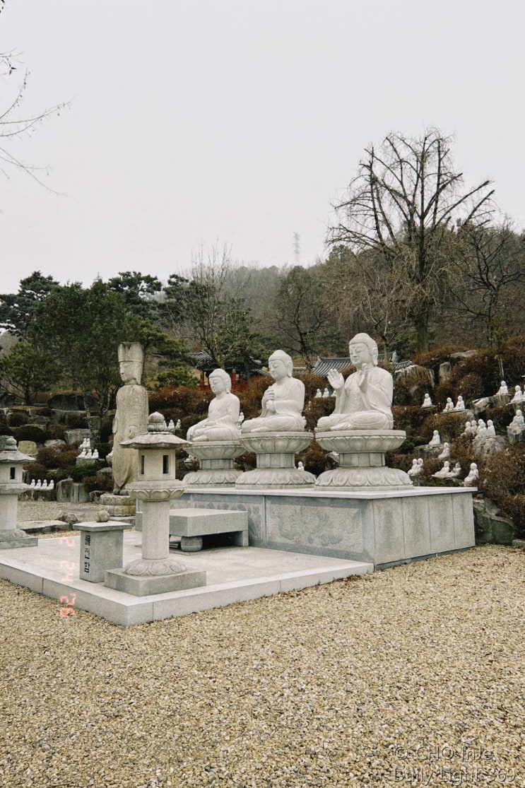  눈 내리던 날, 부강 황룡사