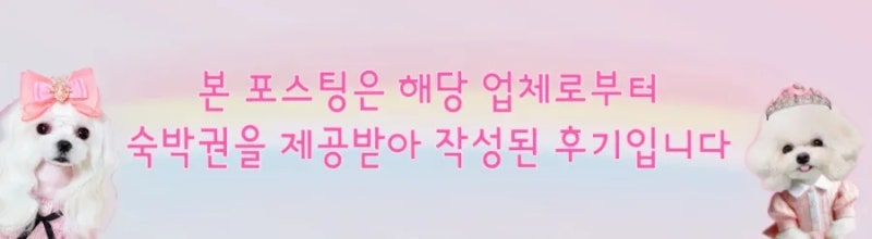 사진 4