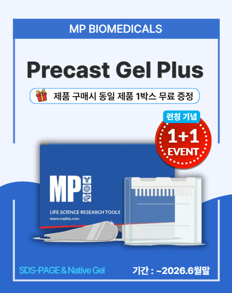  [1+1 EVENT] MP Bio Precast Gel Plus 런칭 기념 프로모션 | SDS-PAGE Ready-to-Use Gel