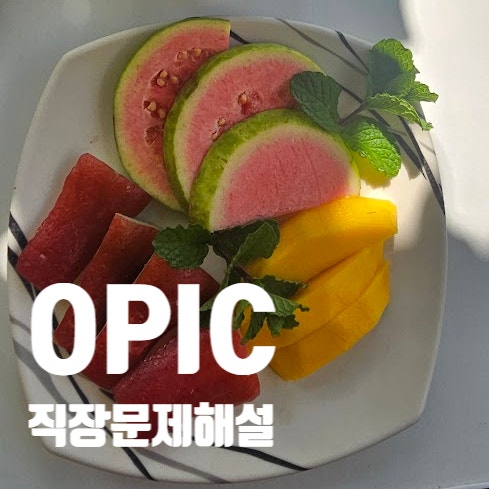  오픽 직장관련 고난이도문제 해설스크립트