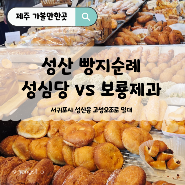  제주 보룡제과 vs 제일 성심당 성산빵집 양대산맥 비교