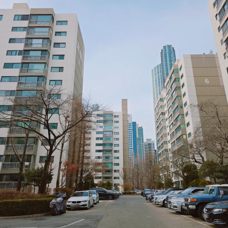  개포경남아파트 임장 후기 44평 시세 흐름과 단지 장단점 분석