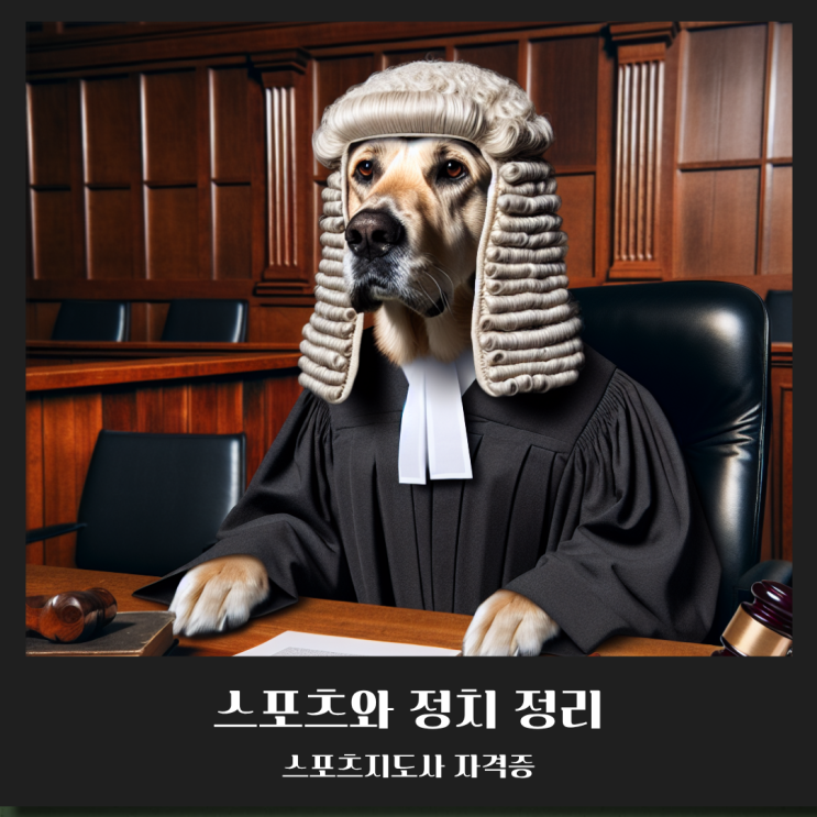  [전문스포츠지도사] 스포츠와 정치 정리
