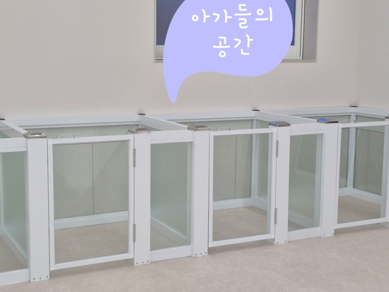 사진 10