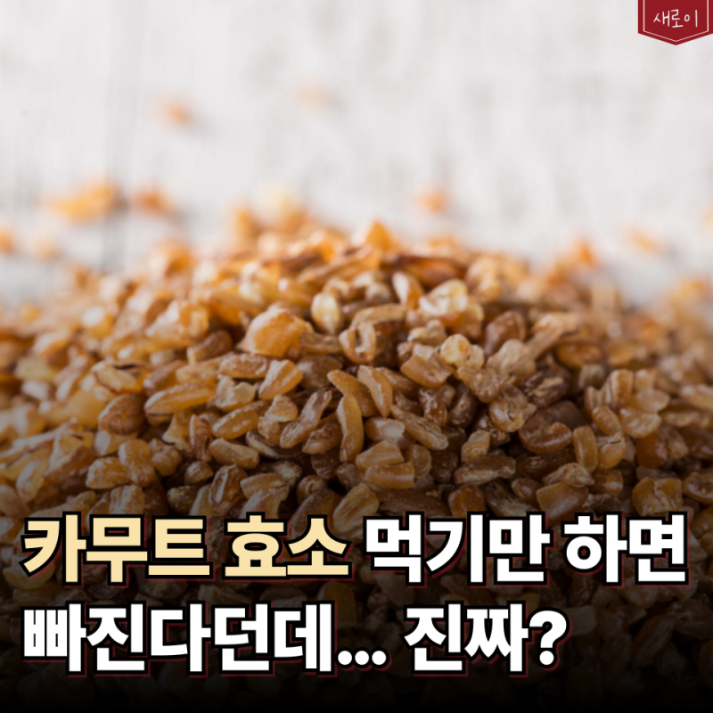 광고만 믿은 '카무트효소 다이어트' 진실은 따로 있습니다 다들 놓치고 있는 핵심