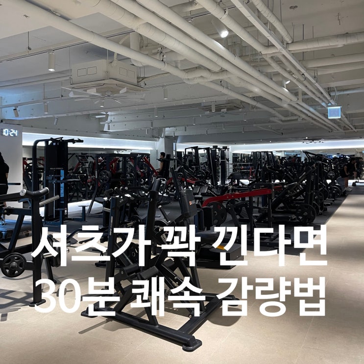  [탄현 헬스장] 셔츠가 꽉 낀다면? 레디바디 직장인 전용 '30분 쾌속 감량' 비법