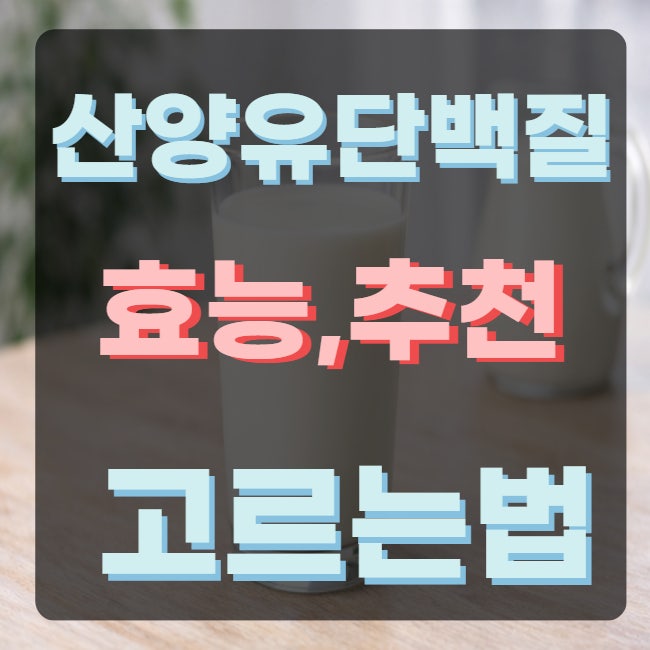 산양유 단백질 분말 프로틴 효능 추천