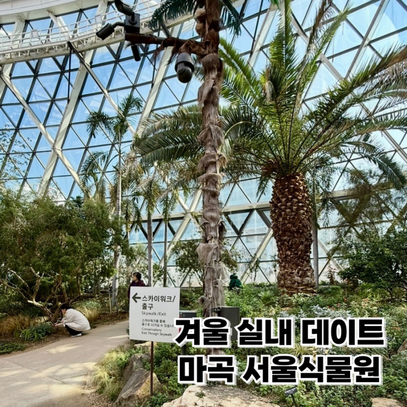 마곡 서울식물원 주차장 입장료 무료 할인방법 정리