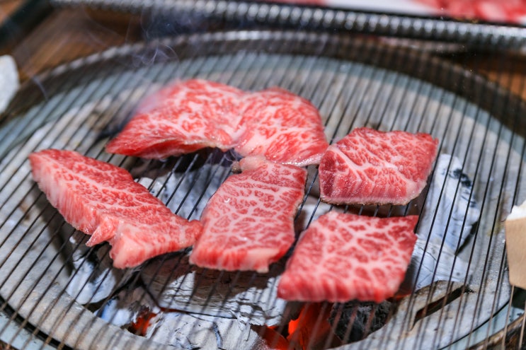  양산 사송 맛집 현지인이 추천하는 한우 가성비 모모한우진갈비식육식당 숯불 구이 먹방