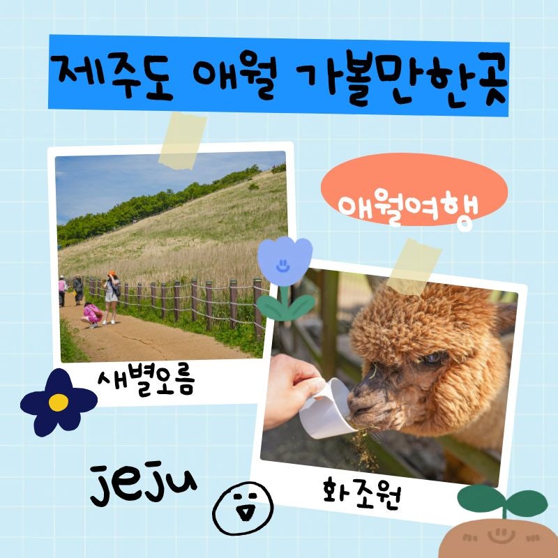 사진 7