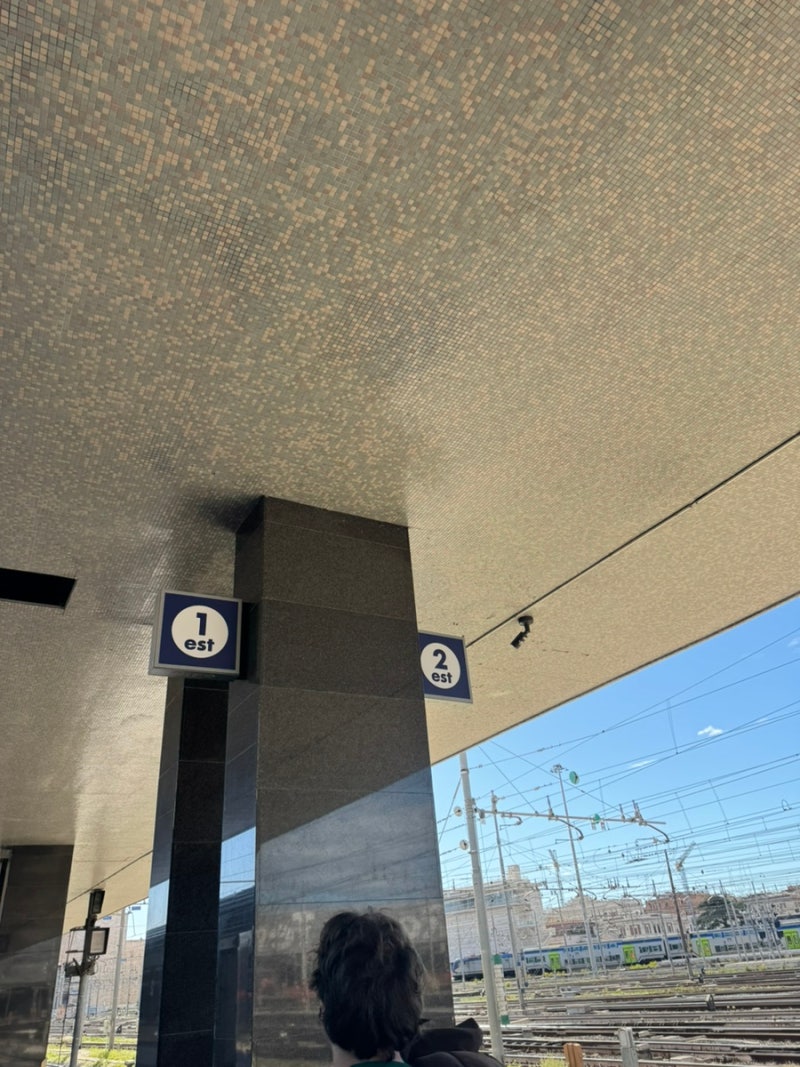 [이탈리아|기차] 트랜이탈리아 Trenitalia 기차 탑승 방법 후기, 좌석 추천, 기차 캐리어 보관, ....