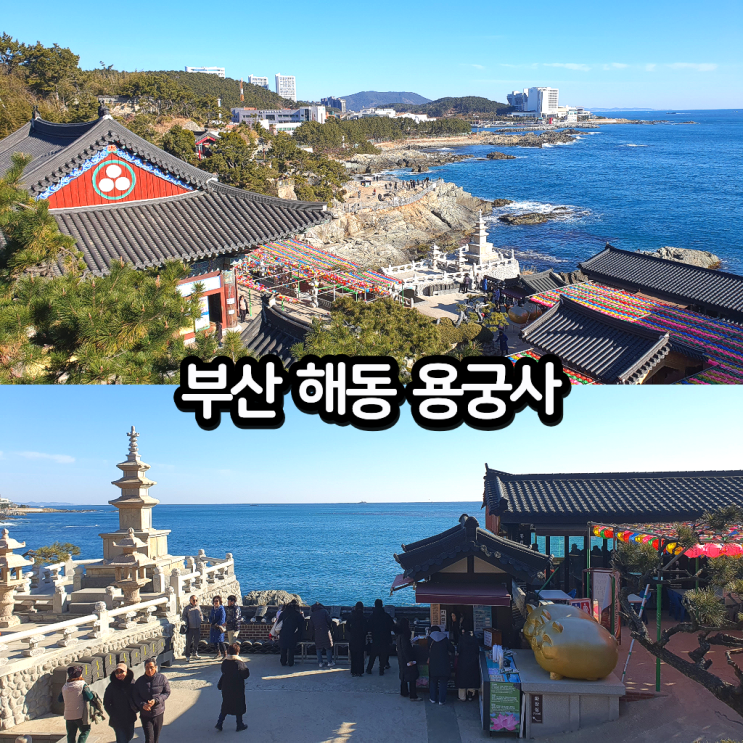 부산 기장 해동 용궁사 주차장 입장료 근처 맛집