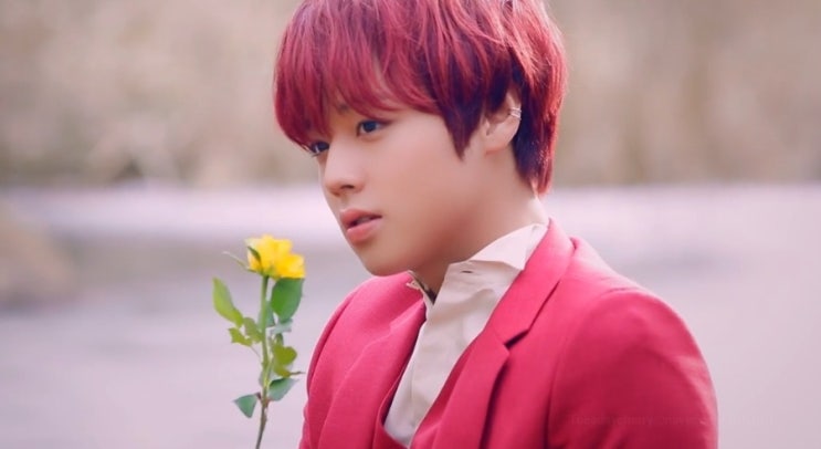  박지훈 유퀴즈 출연 소식과 아역부터 왕과사는남자 단종 역까지 인생 캐릭터 총정리