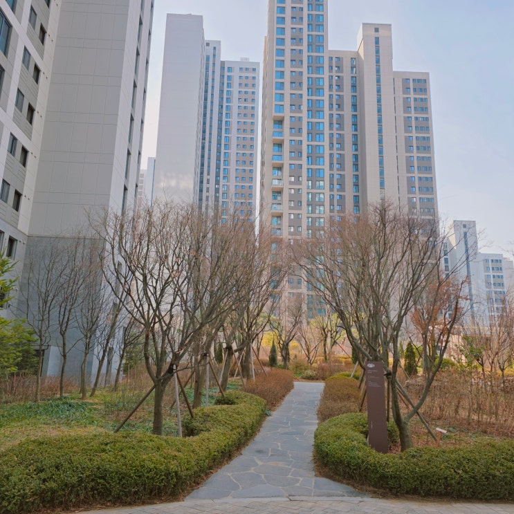  개포자이프레지던스 임장후기 33평 시세 분석 단지 내부 모습