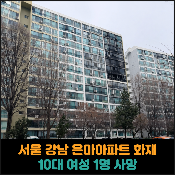  서울 강남 은마아파트 화재, 10대 여성 1명 사망
