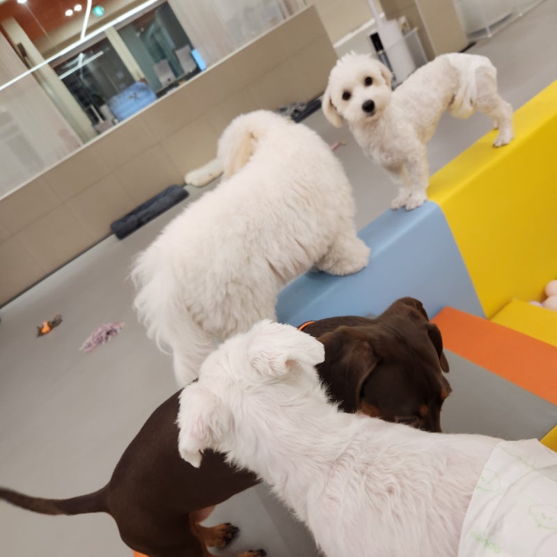 멍쓰쿨 부산본점