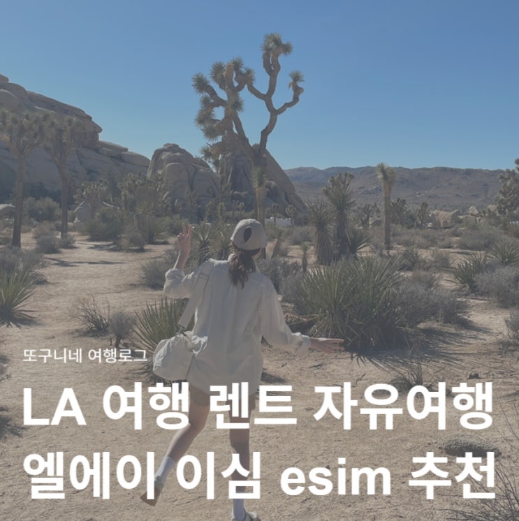  la 여행 렌트 엘에이 자유여행 후기 + la 이심 esim 추천