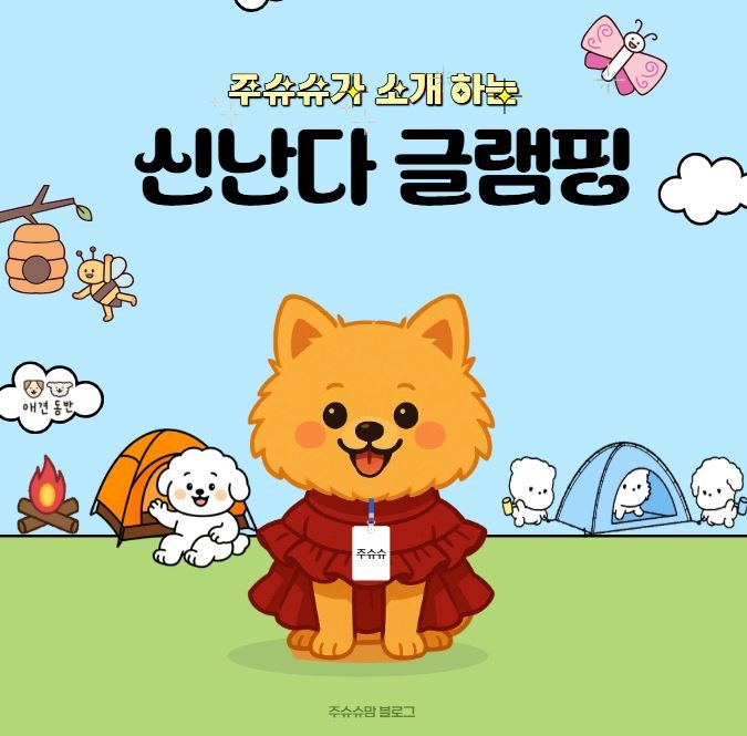 사진 4