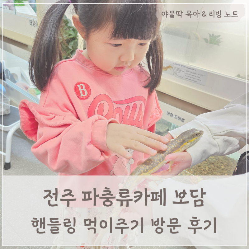 파충류카페 보담 — 전주시