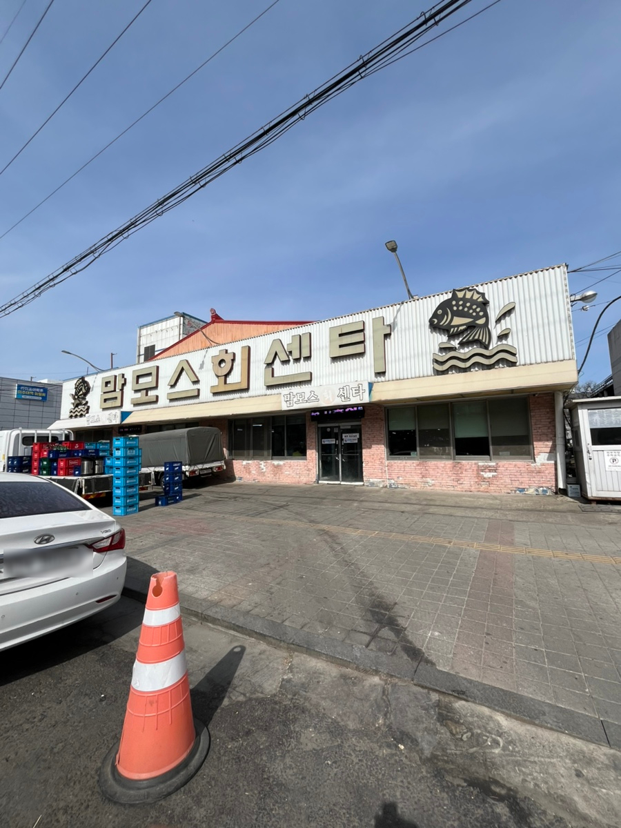 맘모스회센타 8호 사진 1