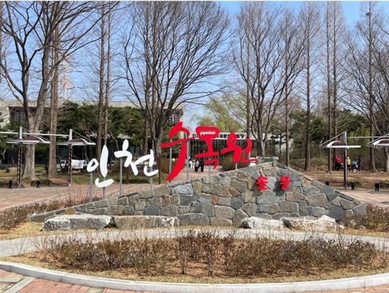  인천수목원, 황금빛 복수초 개화로 봄의 시작 알려