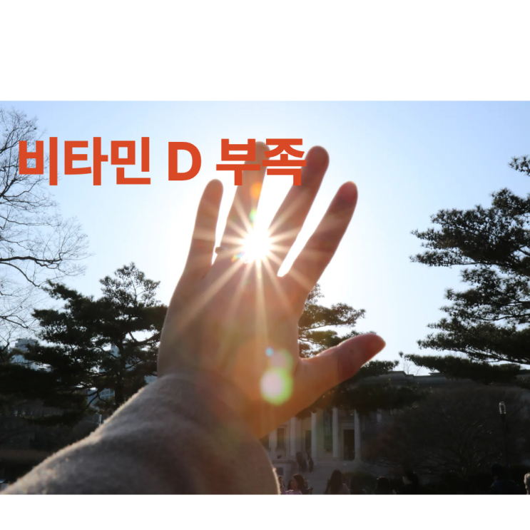  현대인의 필수 영양소, 비타민D주사로 항암부터 면역력까지 한 번에!