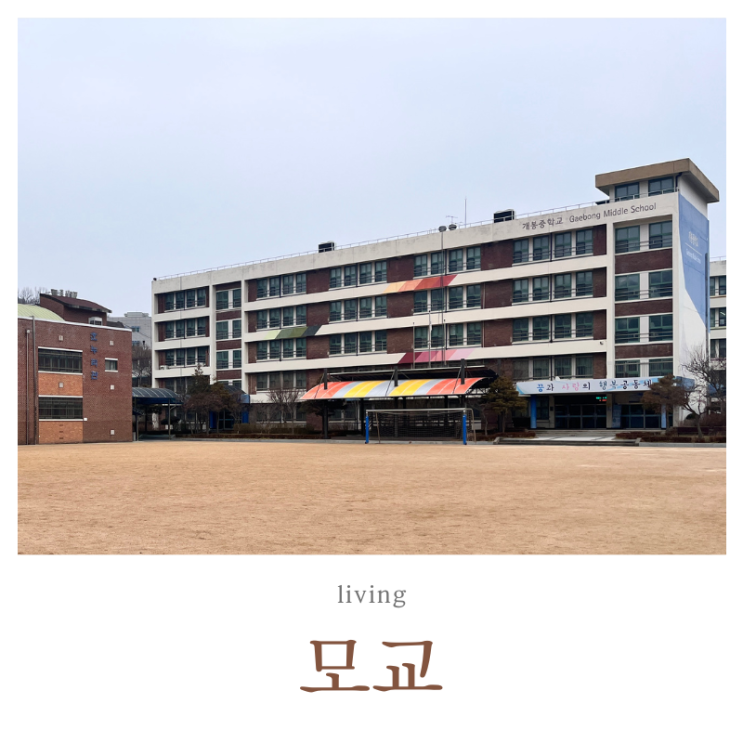  졸업한 학교에 다시 가게 된 이유