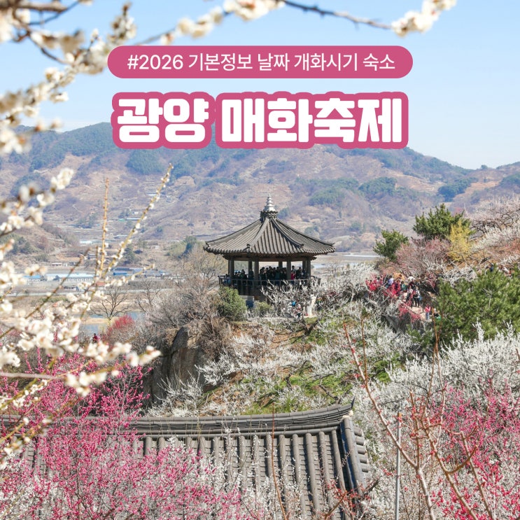  2026 하동 광양 매화축제 기본정보 날짜 개화시기 숙소