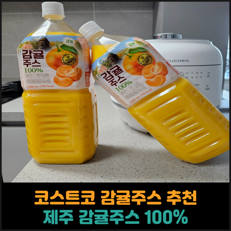  코스트코 감귤주스 추천, 제주 감귤주스 100% 후기