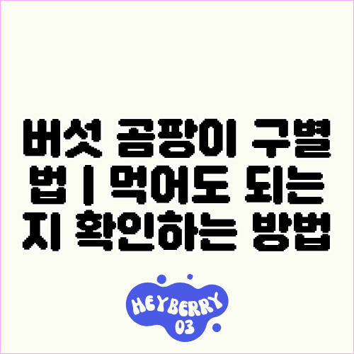 버섯 곰팡이 구별법 | 먹어도 되는지 확인하는 방법