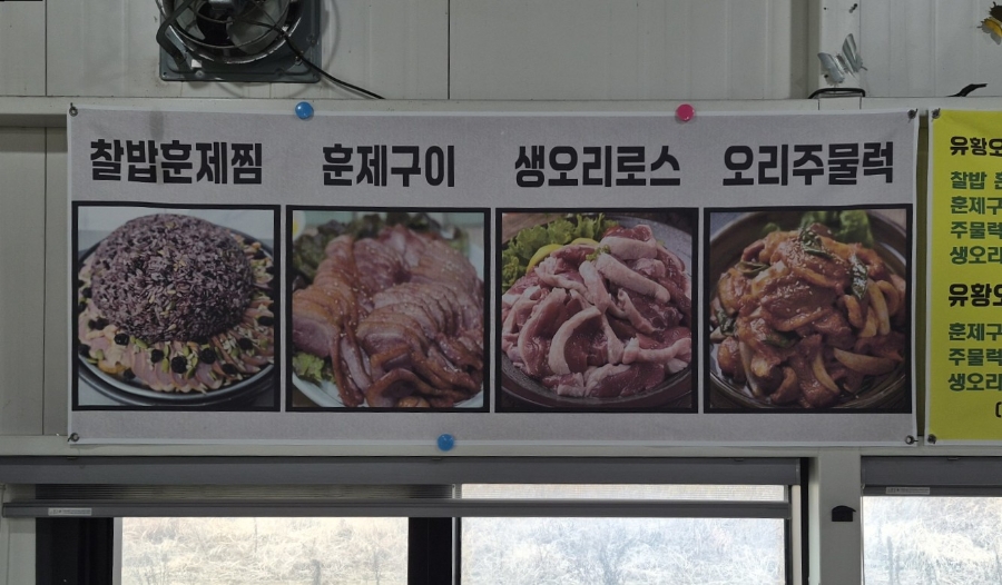 개정오리 사진 3