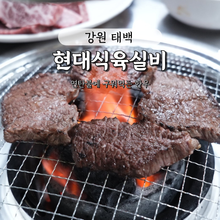 현대식육실비 사진 1