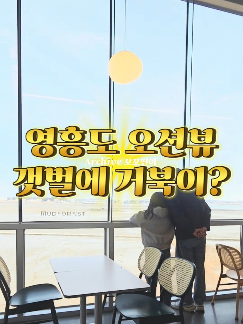 사진 5