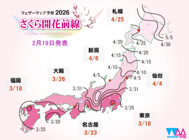  2026년 일본 벚꽃 개화시기 총정리! 도쿄 오사카 후쿠오카 교토 홋카이도