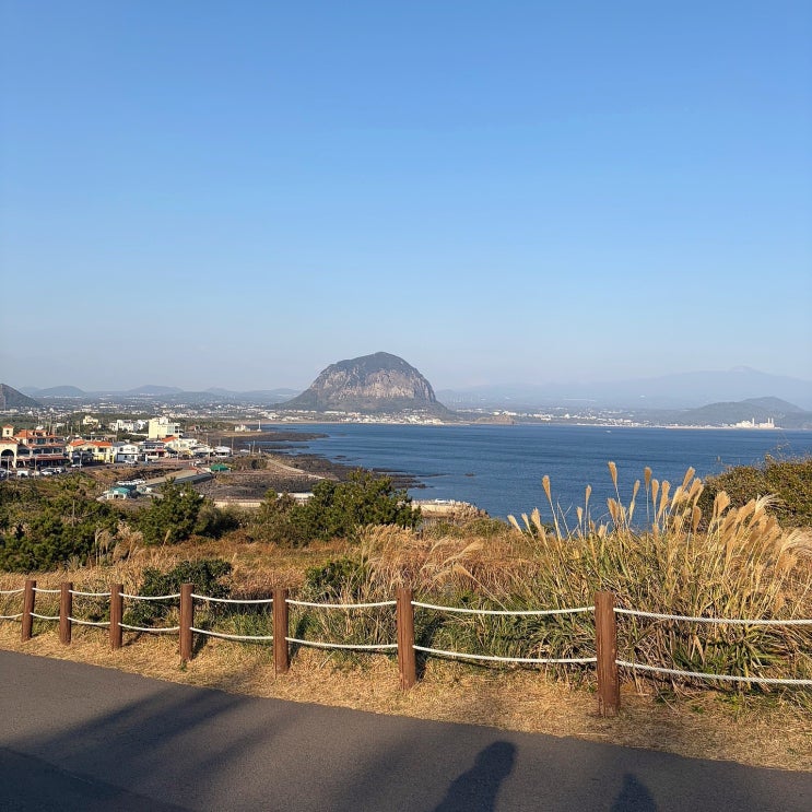  제주도 서쪽 여행 코스 추천 송악산 둘레길 후기