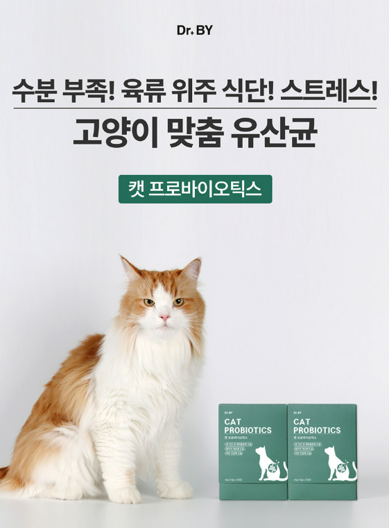  고양이 영양제 추천, 장 건강을 위한 닥터바이 캣 프로바이오틱스