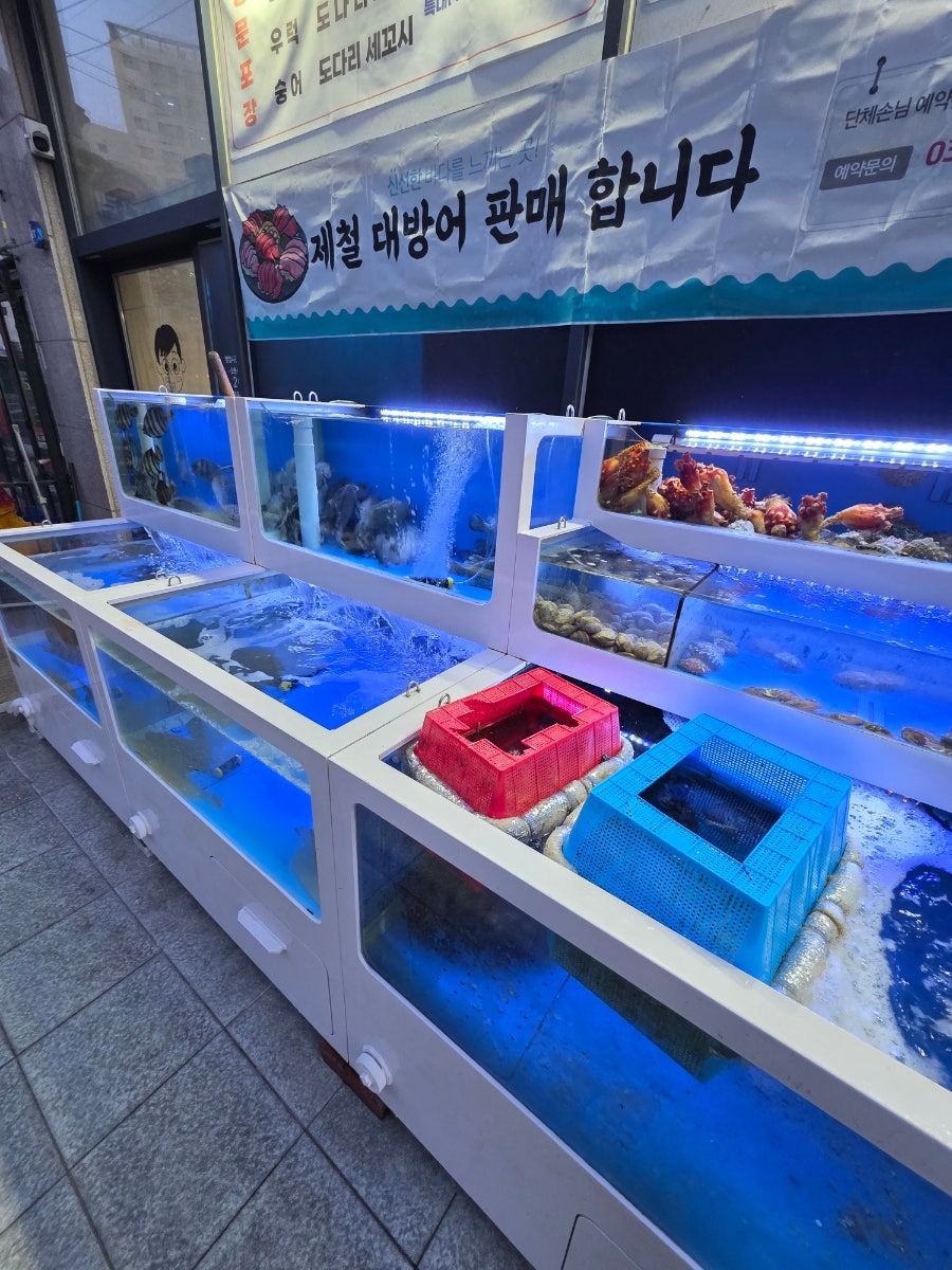 회선생 사진 6