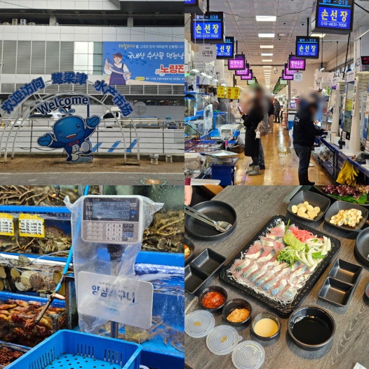  노량진수산시장 고등어회 맛집 손선장 예약 초장집 후기