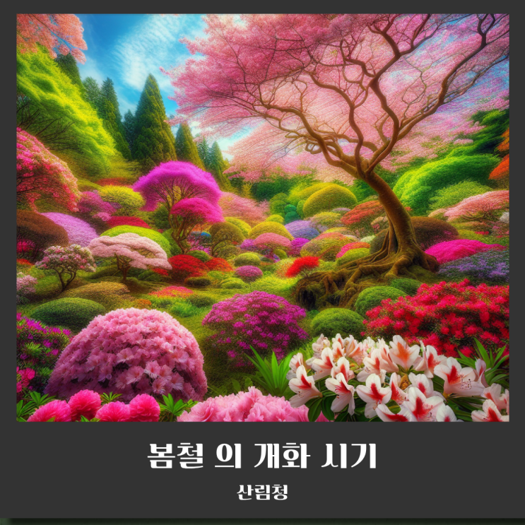  산림청 2026년 봄철 꽃나무 개화 예측지도 발표