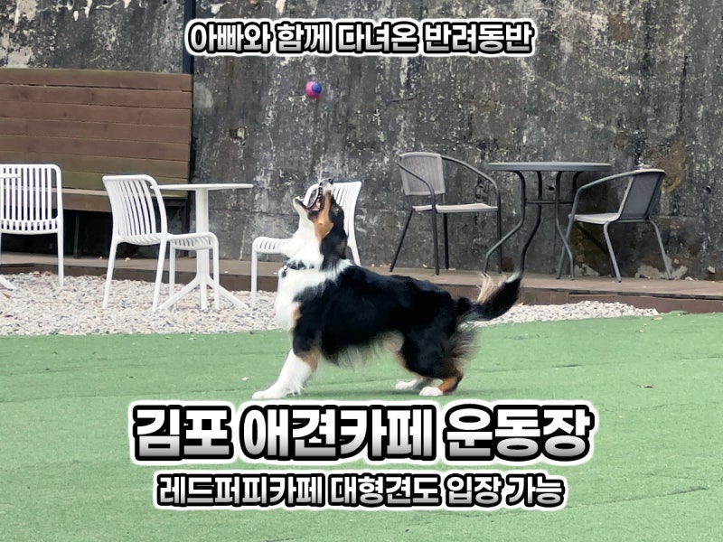 사진 4