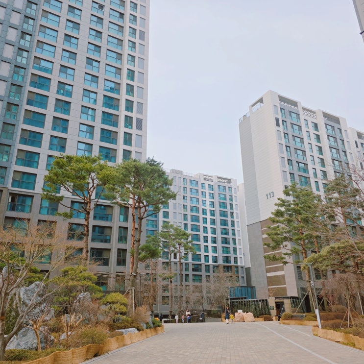 개포래미안포레스트 임장 후기 26평 시세 흐름 및 단지 내부 분석