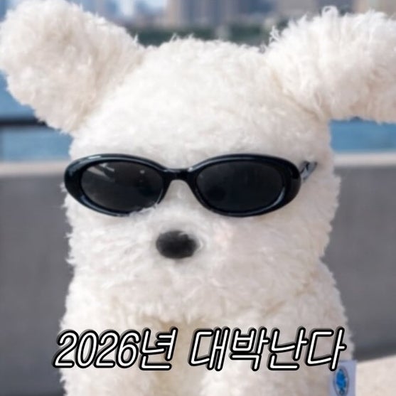  1월-2월 일상 느낌이와 새해 아주 잘 될 것 같은 느낌