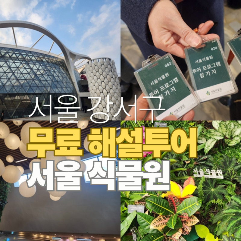 사진 2