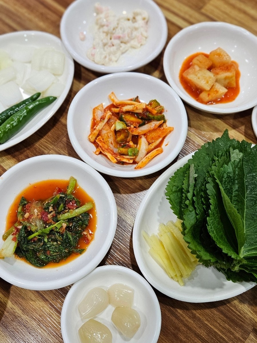 통정흑염소 사진 3