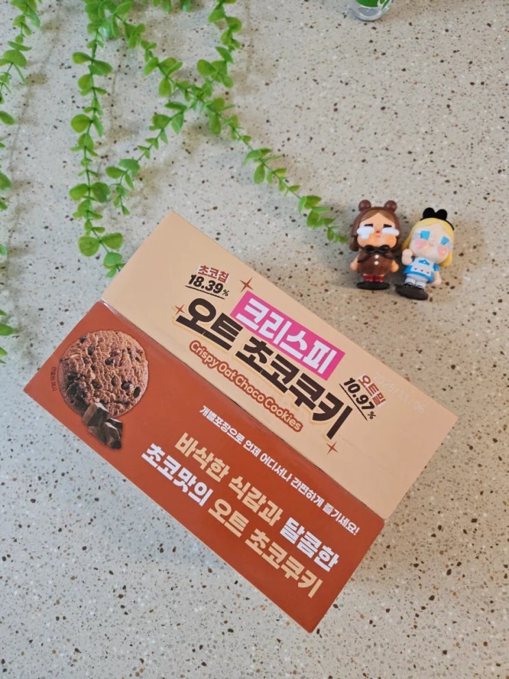  바삭함에 반했다! 크리스피 오트초코쿠키 식감좋은 대용량 가성비간식 추천