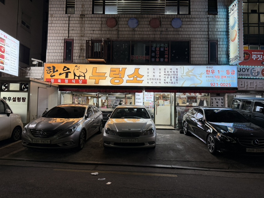 한우누렁소 사진 2