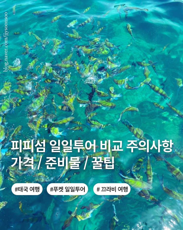  태국 푸켓 끄라비 여행 피피섬 일일 투어 가격 종류 주의사항 추천 꿀팁