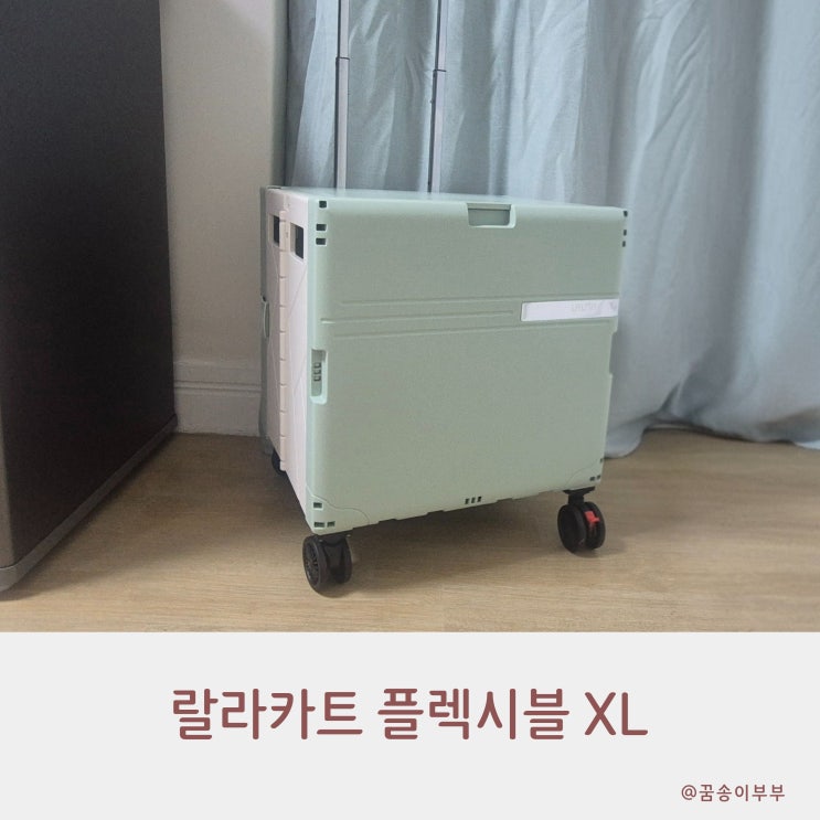  랄라카트 플렉시블 XL 사용 후기 소음 없는 장보기 필수템