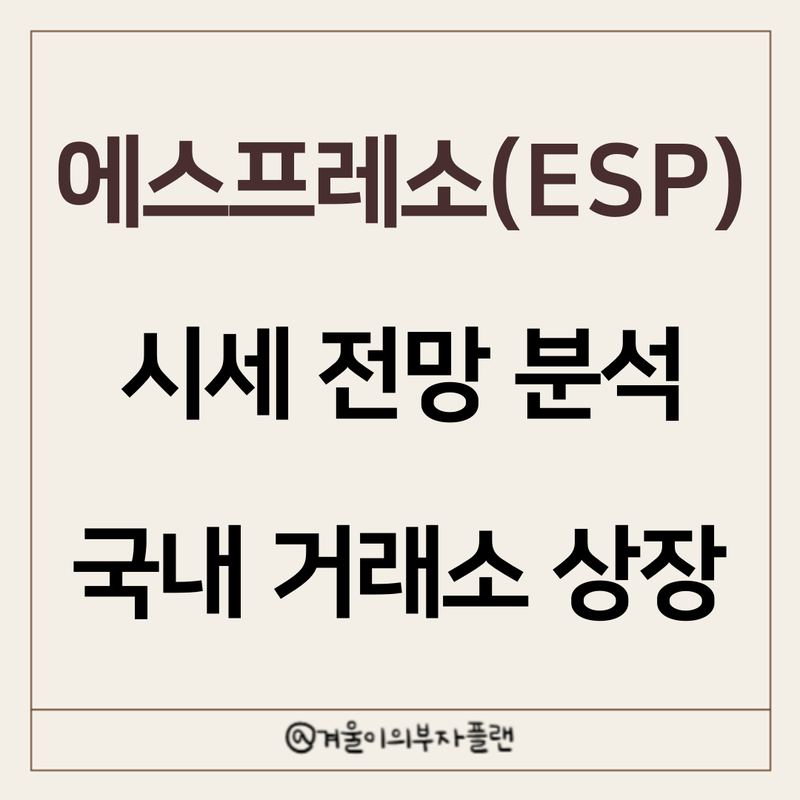 사진 5