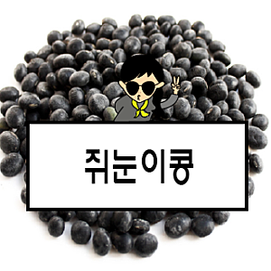 쥐눈이콩 효능과 부작용, 쥐눈이콩차 제대로 알고 마시기